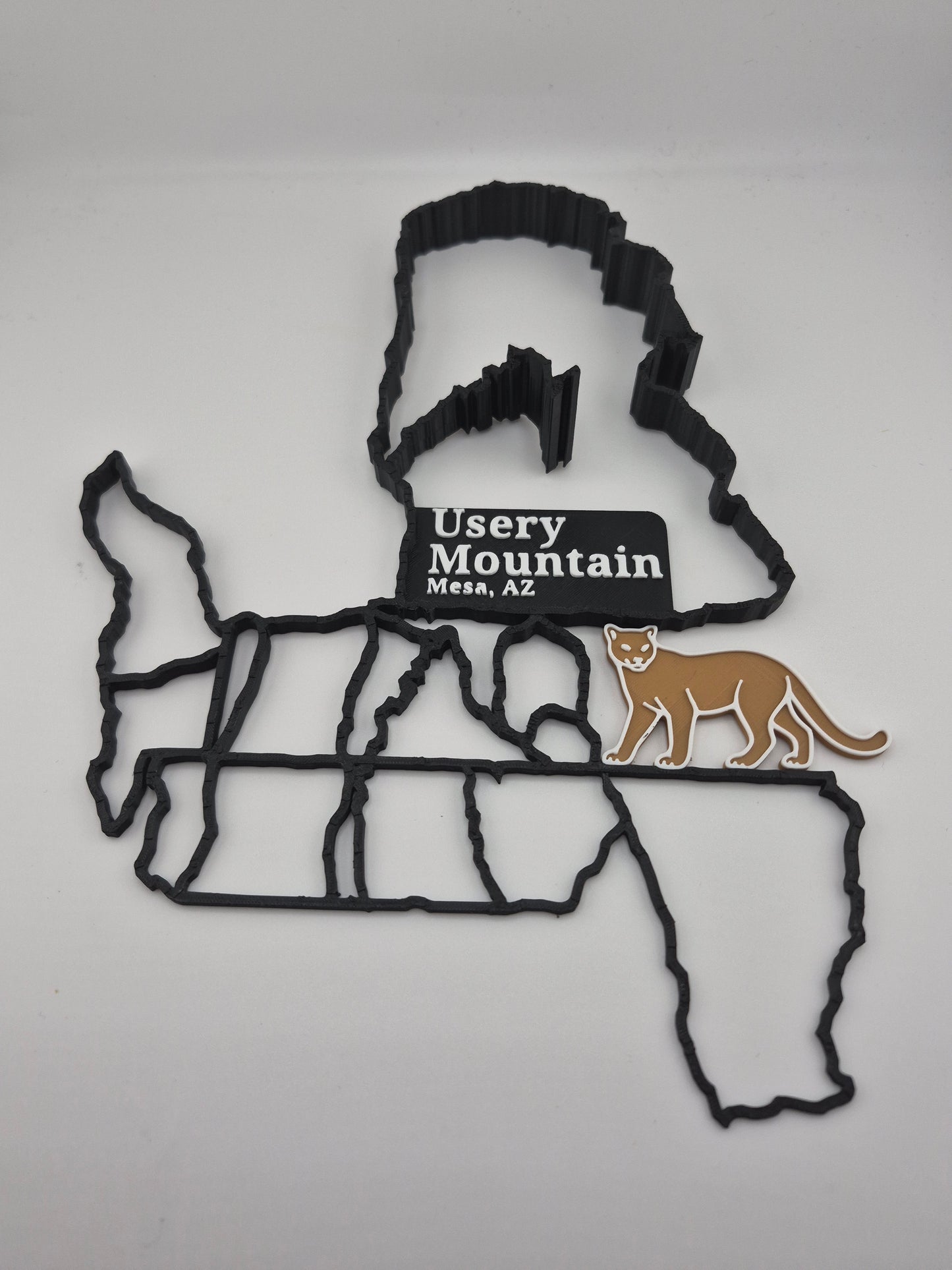 Usery Mountain Mesa AZ, Wall Hanger